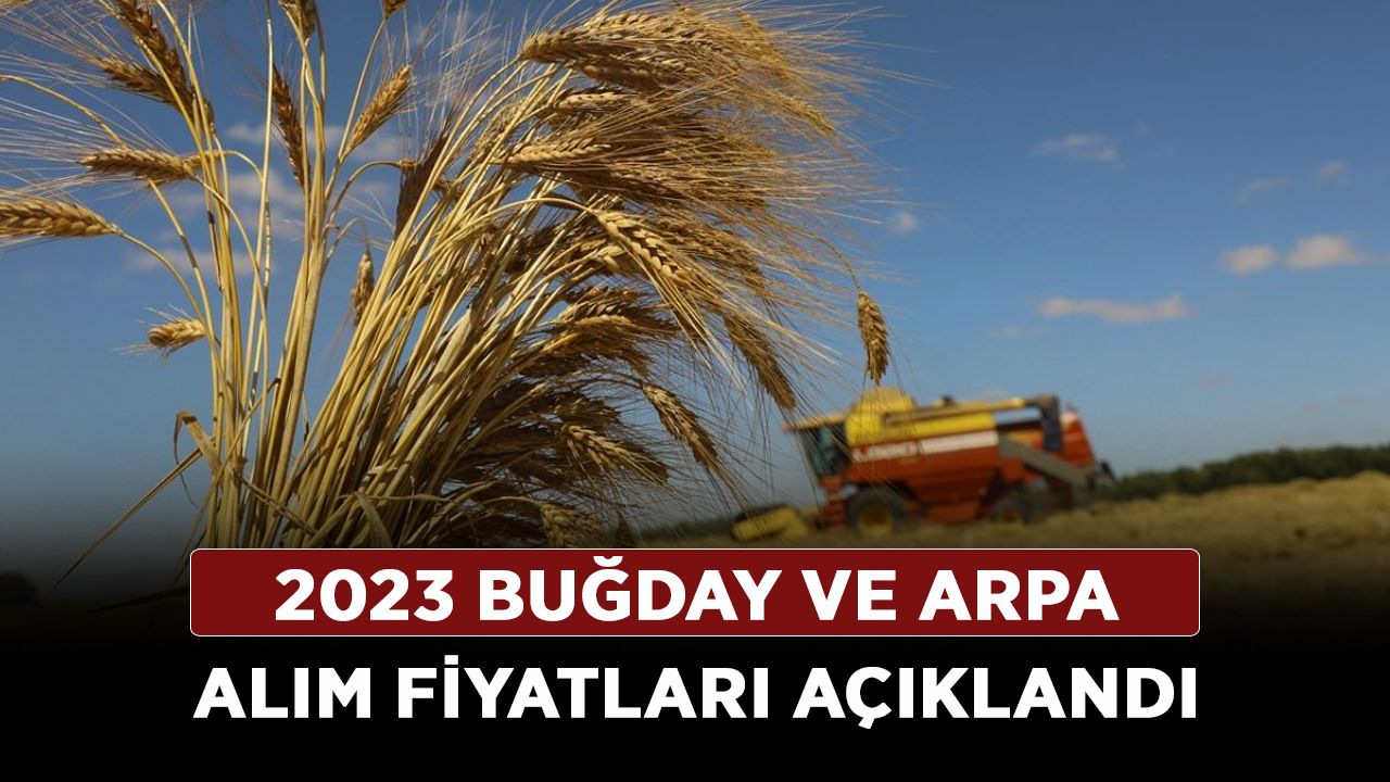 2023 buğday ve arpa alım fiyatları açıklandı