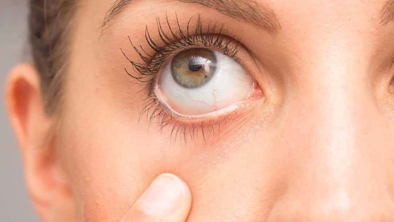 Gözün retina tabakasının işlevini açıklayan bilim insanı kimdir?
