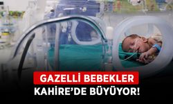 Gazelli bebekler Kahire’de büyüyor!