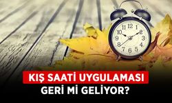 Kış saati uygulaması geri mi geliyor? Kış saati neden, ne zaman kalktı?