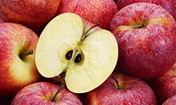 Elma çekirdeği zararlı mı? Elma çekirdeği yenilmeli mi?