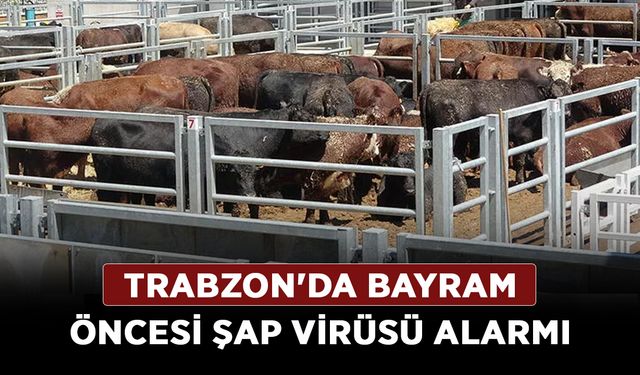 Trabzon'da bayram öncesi şap virüsü alarmı