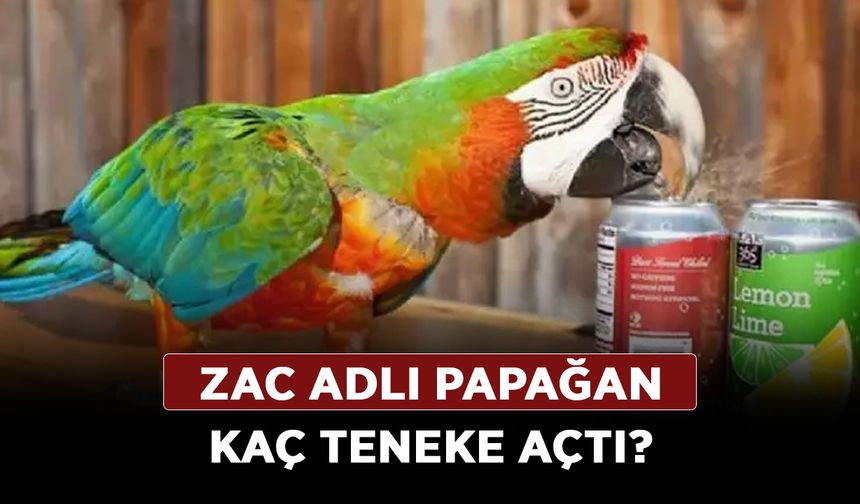 Papağan Guinness Dünya Rekorlarına giren Zac adlı papağan kaç teneke açtı?