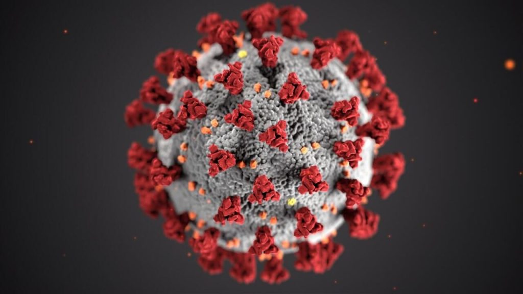 ABD Enerji Bakanlığından koronavirüs raporu